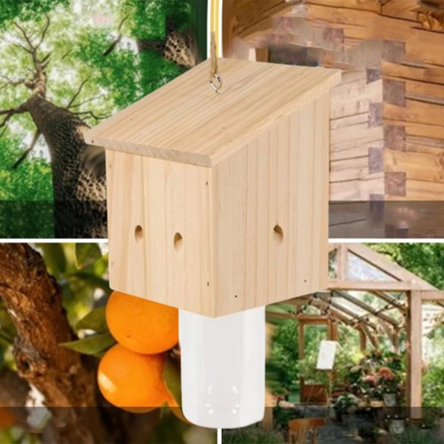 Carpenter bee trap with screw - trap,