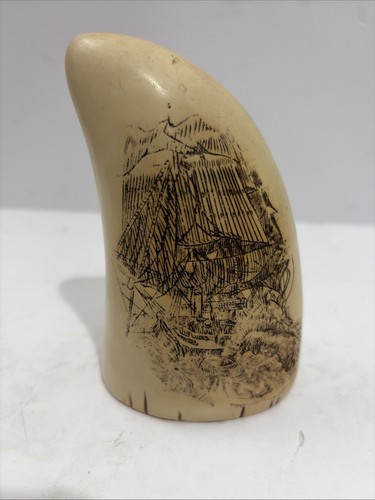 Vintage sperm whale tooth - sperm,