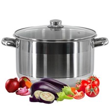 Stainless Steel Casserole Stockpot Induction Base Deep Stock Pot Glass Lid 8.5 L