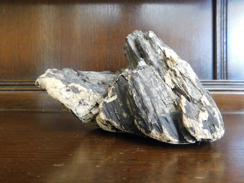 Chunky piece driftwood - piece, of