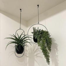 Hanging Planter Metal Plant