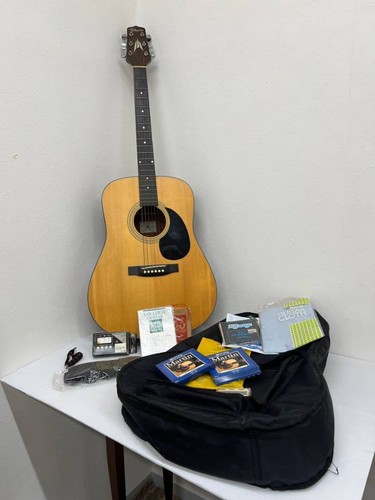 Takamine - t_1n,