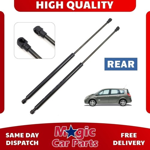 Tailgate boot gas - 2x, struts