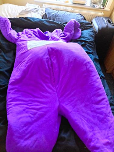 Teletubbies purple hooded - purple,