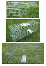 Mouse,Rat,Cat,Rabbit,Fox