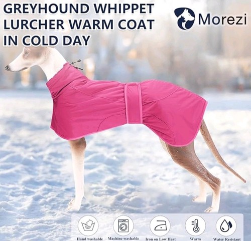 Greyhound whippet waterproof - ,