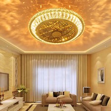LED Ceiling Fan Light with Remote Control Dimmable Living Room Chandelier Lamp