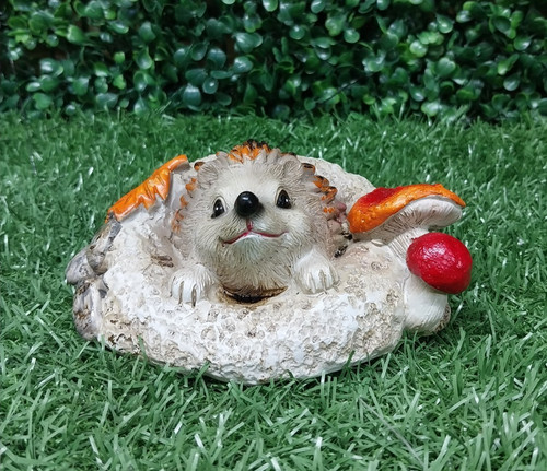 Hedgehog 6cm 14cm - 6cm,