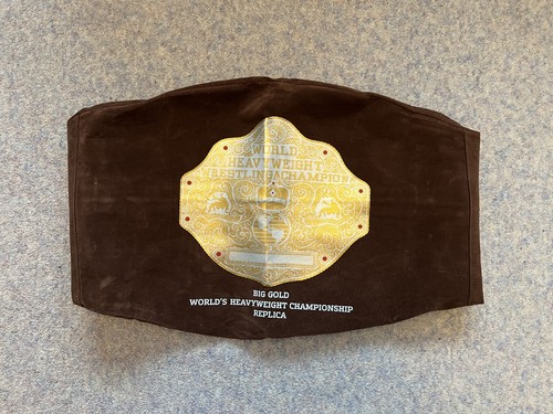 Wwe shop - big, world