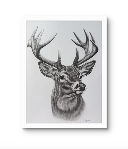 Original hand drawn deer - ,