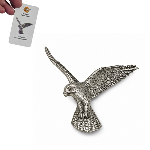 Falcon bird prey - bird, pin