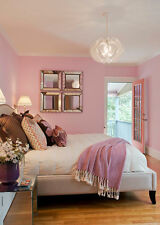 Plain Pale Pink Bedroom
