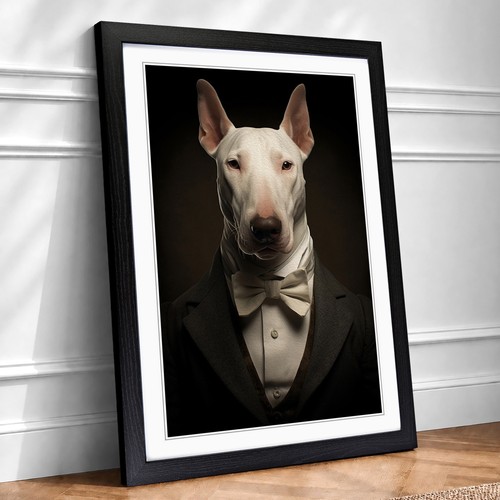 English bull terrier - english,