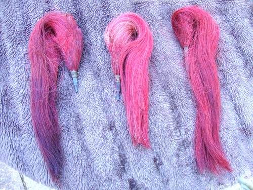Three original red horse - original,