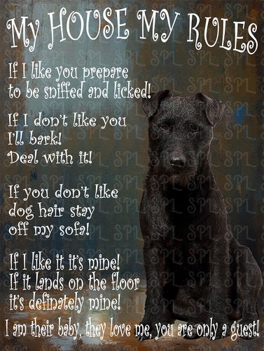 Patterdale terrier house my - terrier,