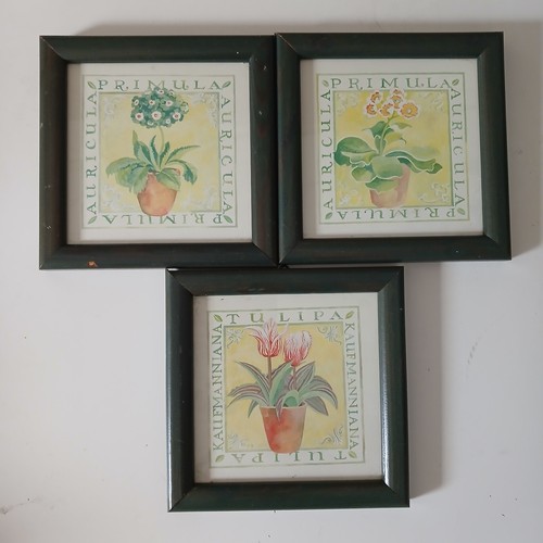 Vintage botanical prints - botanical, set