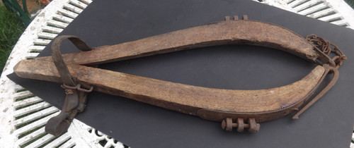 19th century heavy - , horse