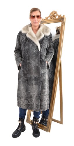 Us11 real broadtail persian - real,