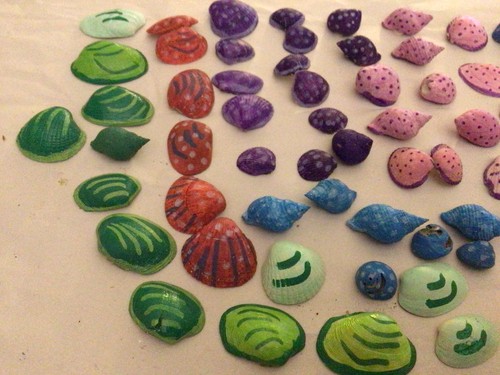Shells multi colour - shells,multi,