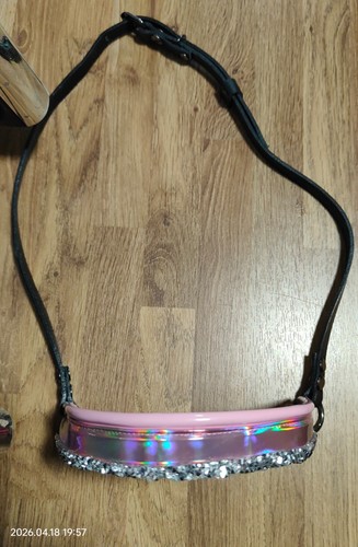 Show halter miniature horse - show,