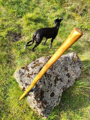 Oak pommel walking - stick, wood