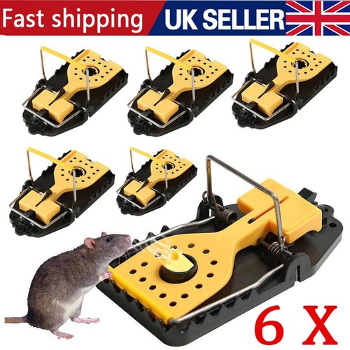 Super large heavy - 6,