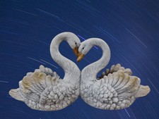 Elegant Grey Heart Swan Couple