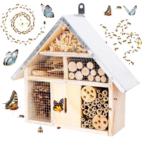 Wooden insect house bug - insect,