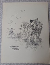 HEAVY CLYDESDALE TYPE HORSES