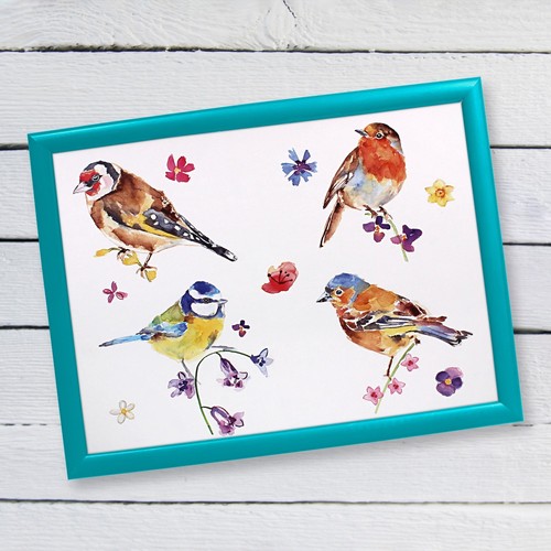 British birds cushioned lap - birds,