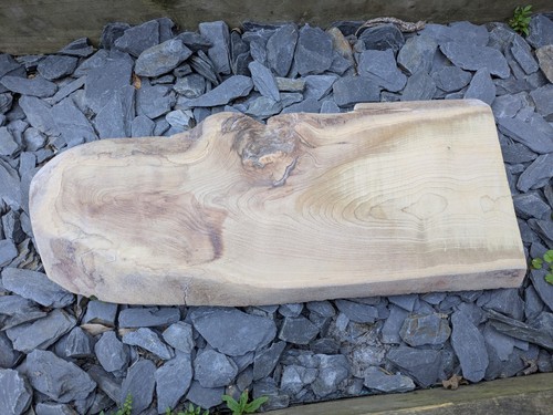 Sycamore timber live edge - timber,,