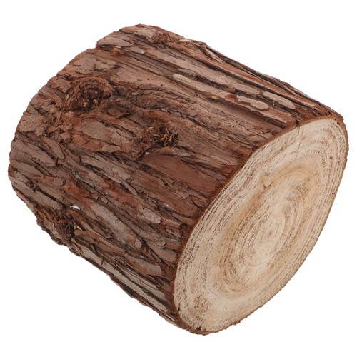 Tree trunk coffee table wood - tree,