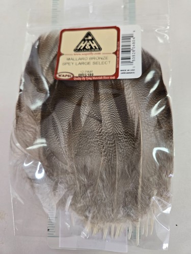 Lot pair mallard - ,