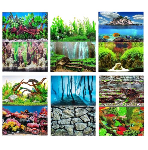 Aquarium fish tank - fish,