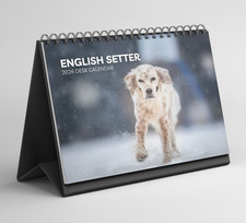 English Setter Desk Calendar 2026-2027: Standing Flip Desktop Calendar