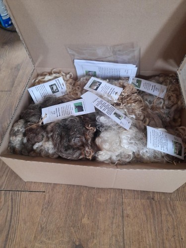 Raw long wool - wool, fleece
