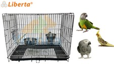LIBERTA MEDIUM PARROT CARRYING