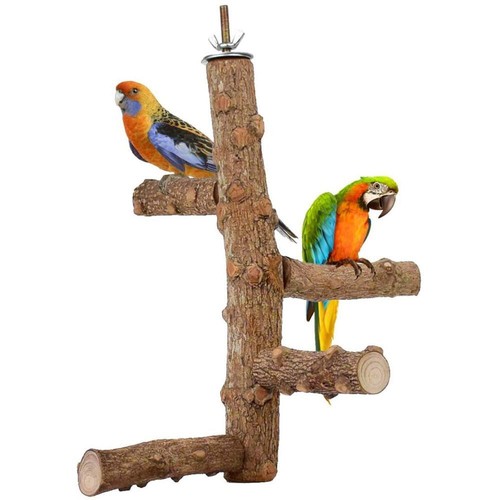 Birds wooden cockatiel conure - birds,