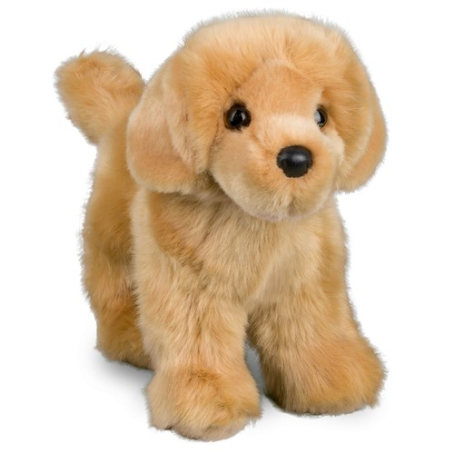 Douglas chap golden retriever - chap,