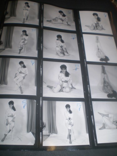 1960 original sophia dawn - 1960's,