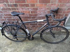 Dark Grey Ridgeback  2019