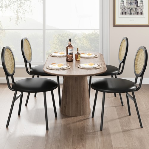 Modern rattan dining chairs - modern,