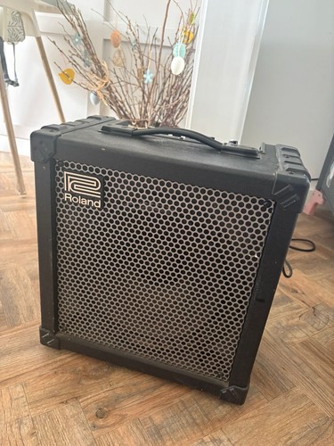 Roland cube cosm guitar - roland,