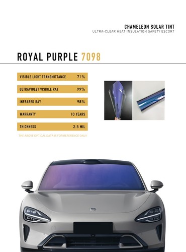 Royal purple chameleon - royal, 75%