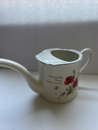 Vtg royal winton watering - winton,