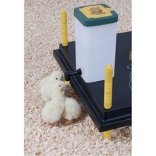 Comfort Chick Brooder Heat