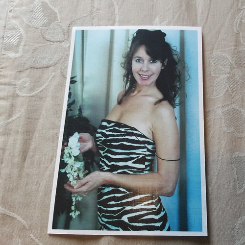 Job lot glamour model - lot,