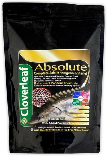 500g cloverleaf sturgeon - 500g,