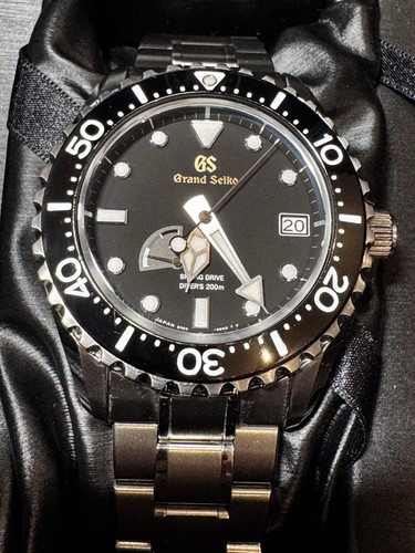 Grand seiko sbga231g titanium - grand,