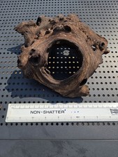 Aquarium Natural Wood Fish